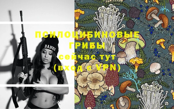 apvp Мегион