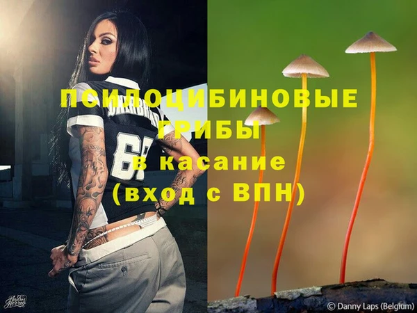 ГАЛЛЮЦИНОГЕННЫЕ ГРИБЫ Михайловка