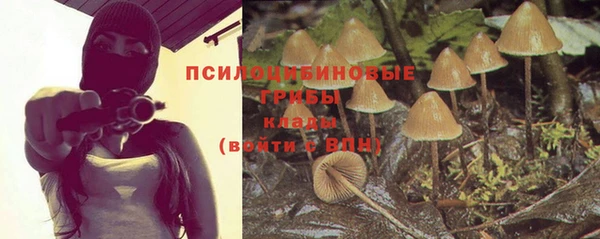 марки lsd Михайлов
